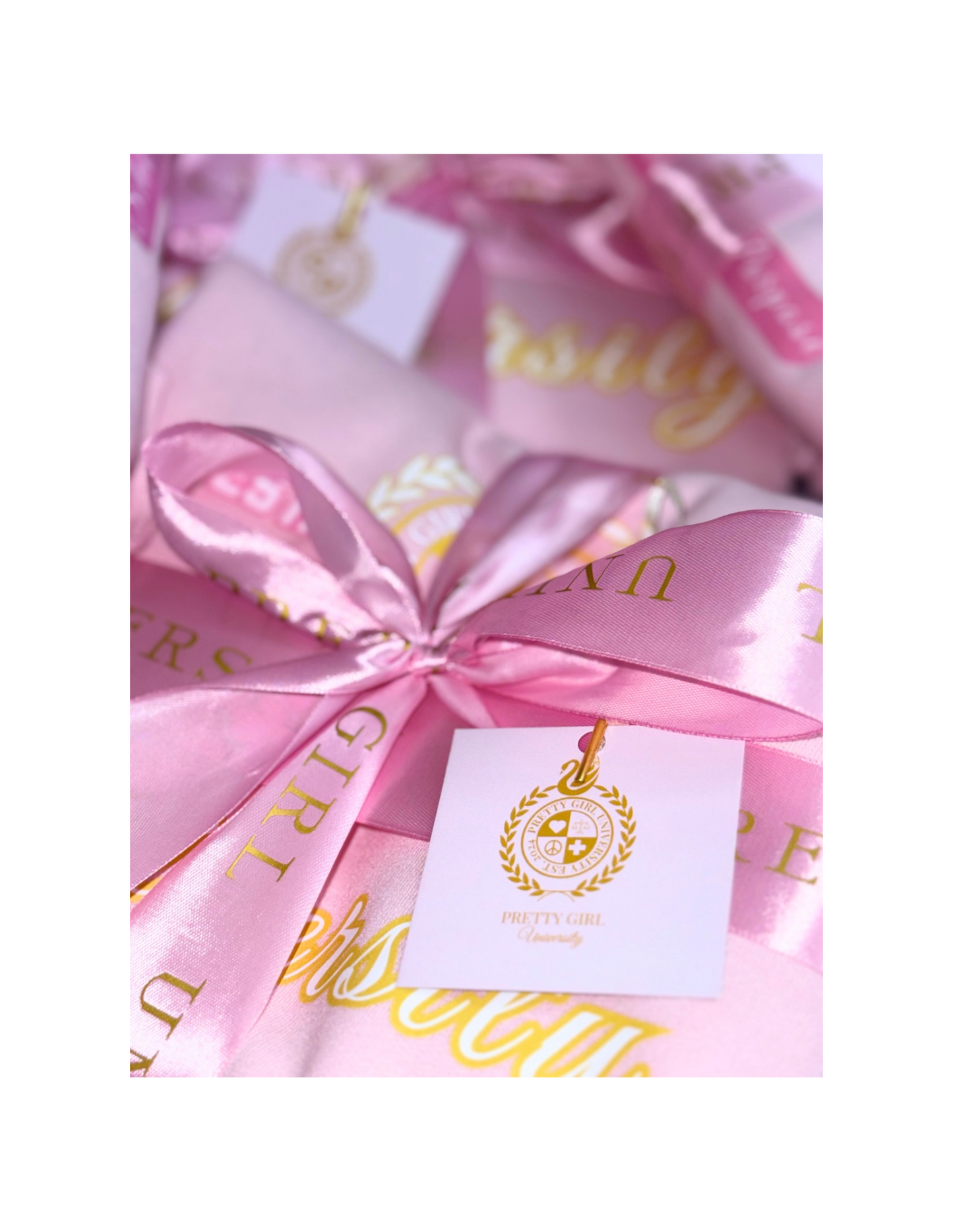 PGU Signature Pink Sweatshirt